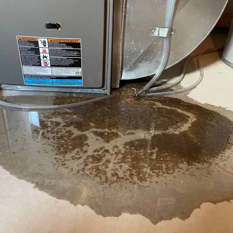 Appliance Leak Cleanup in Livingston, LA